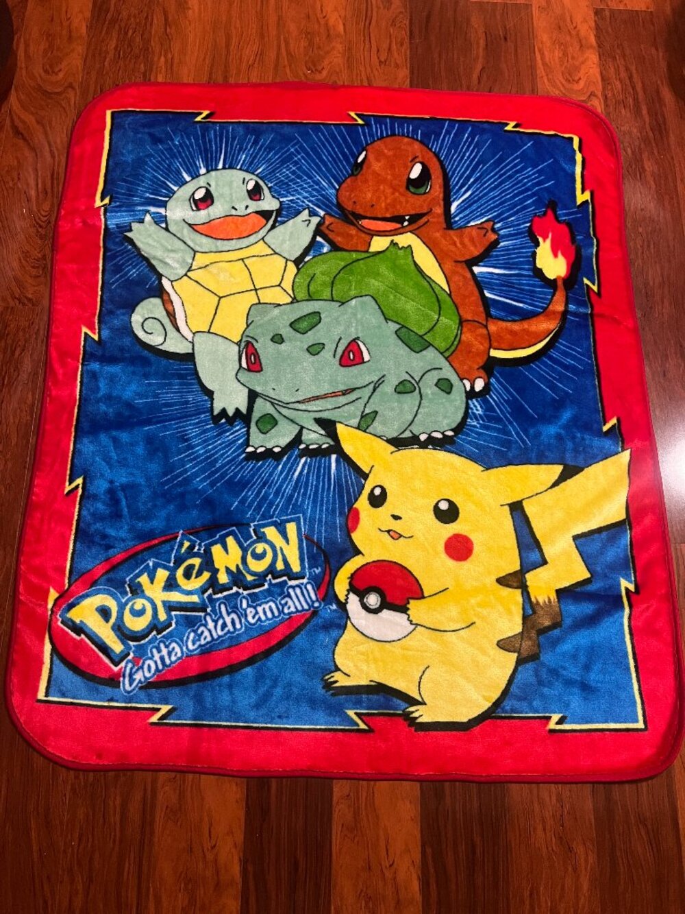 Northwest Pokémon Throw Blanket Gotta Catch Em All Characters Small Damage Used